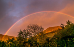 Rainbow in Lorton Vale
