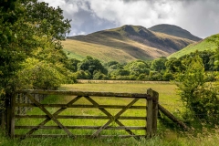Loweswater walk, Hencomb