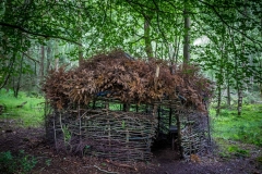 Loweswater walk, Holme Wood