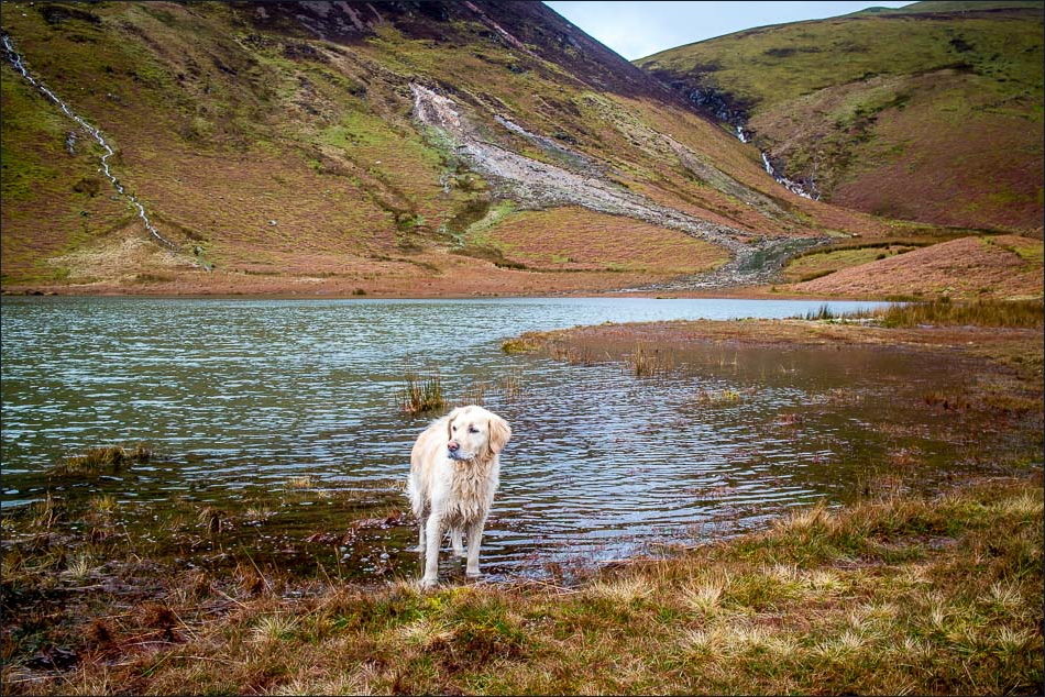 Loweswater2-12