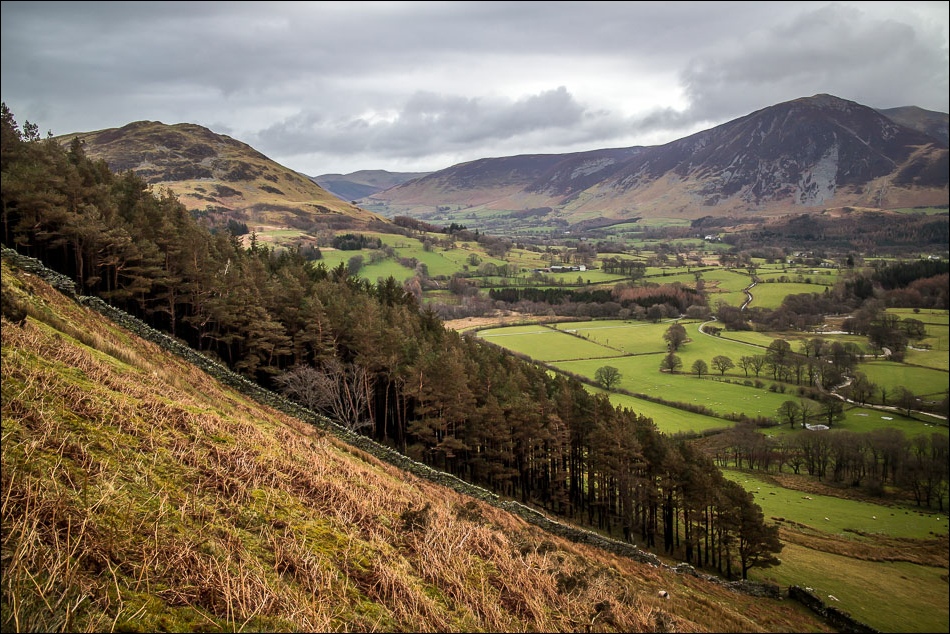 Loweswater2-16