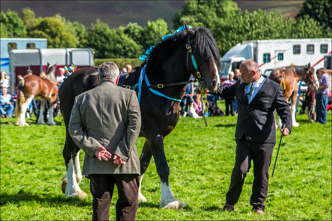 Loweswater Show
