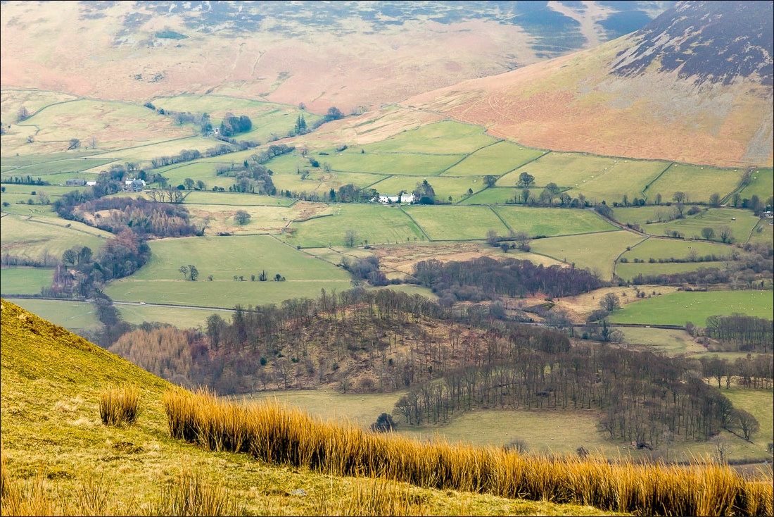 Lorton Vale from Low Fell