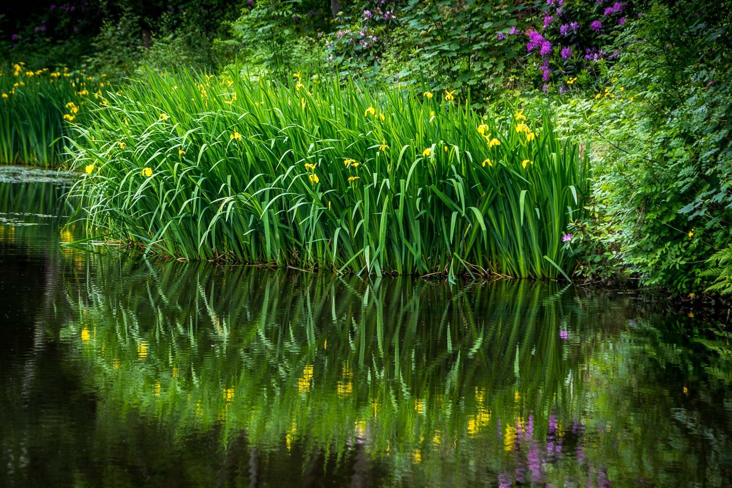 Lowther Castle gardens, Jack Croft's Pond