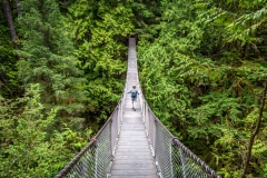 Lynn Canyon Suspension Bridge