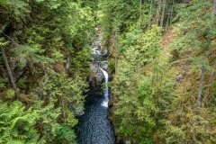 Lynn-Canyon-12