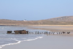 Machir Bay shipwreck, Steamship Patti