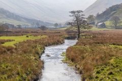 Howegrain Beck, Howe Grain