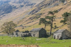 Howe Grain