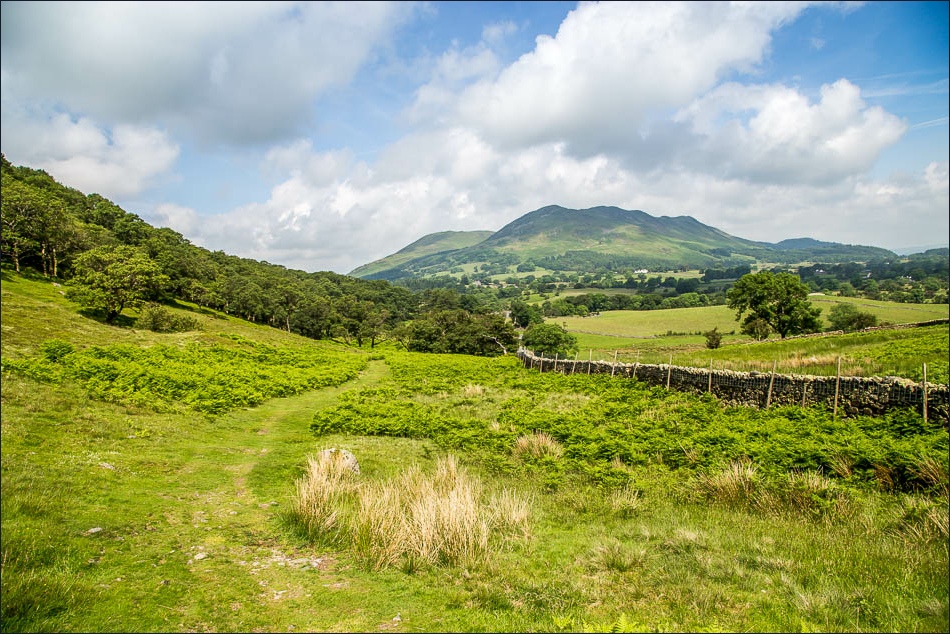 Circuit of Mellbreak-24 Circuit of Mellbreak-24