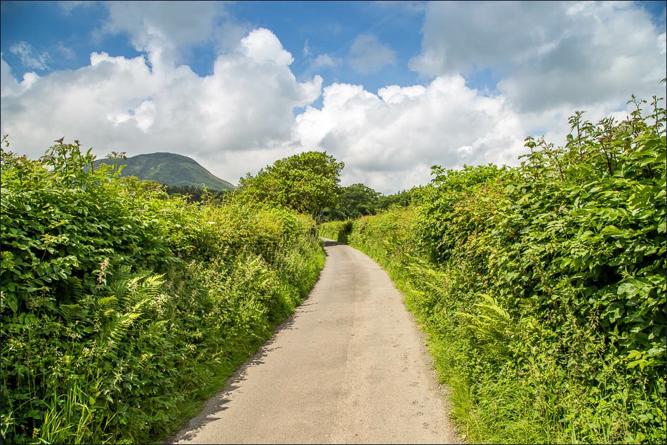 Circuit of Mellbreak-26 Circuit of Mellbreak-26