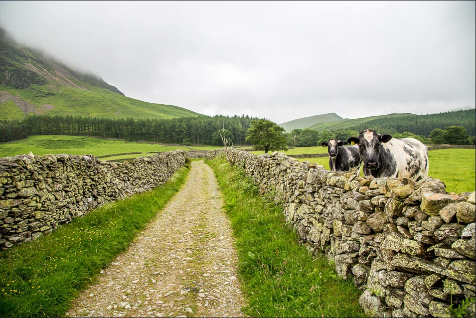 Circuit of Mellbreak-3 Circuit of Mellbreak-3