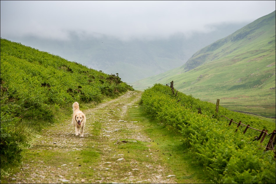 Circuit of Mellbreak-5 Circuit of Mellbreak-5