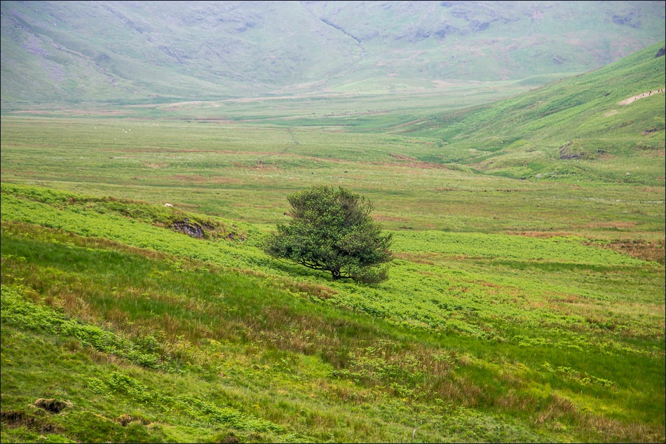 Circuit of Mellbreak-6 Circuit of Mellbreak-6