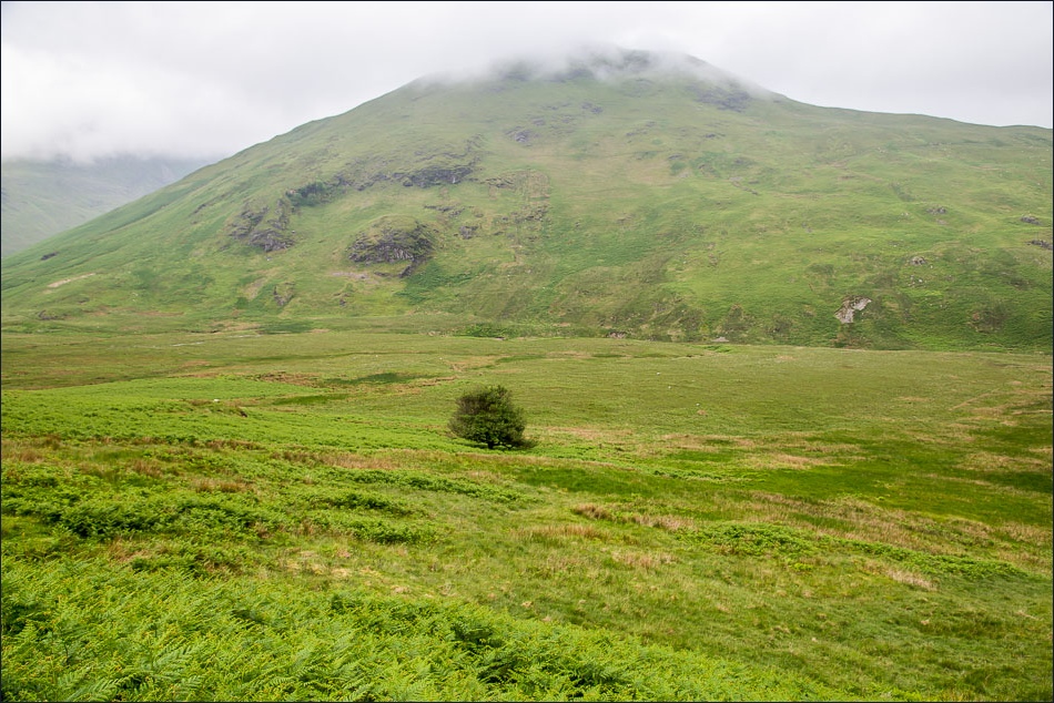 Circuit of Mellbreak-7 Circuit of Mellbreak-7