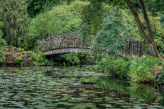 Tatton Park Japanese Garden
