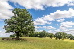 Benfield Park