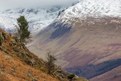 Scafells from Middle Fell