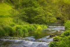 Milldale, River Dove walk