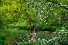 River Dove walk