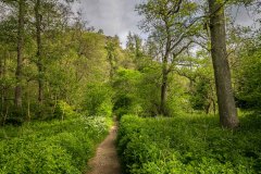 Milldale walk