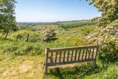 Yorkshire Wolds Way, Minster Way, Vale of York
