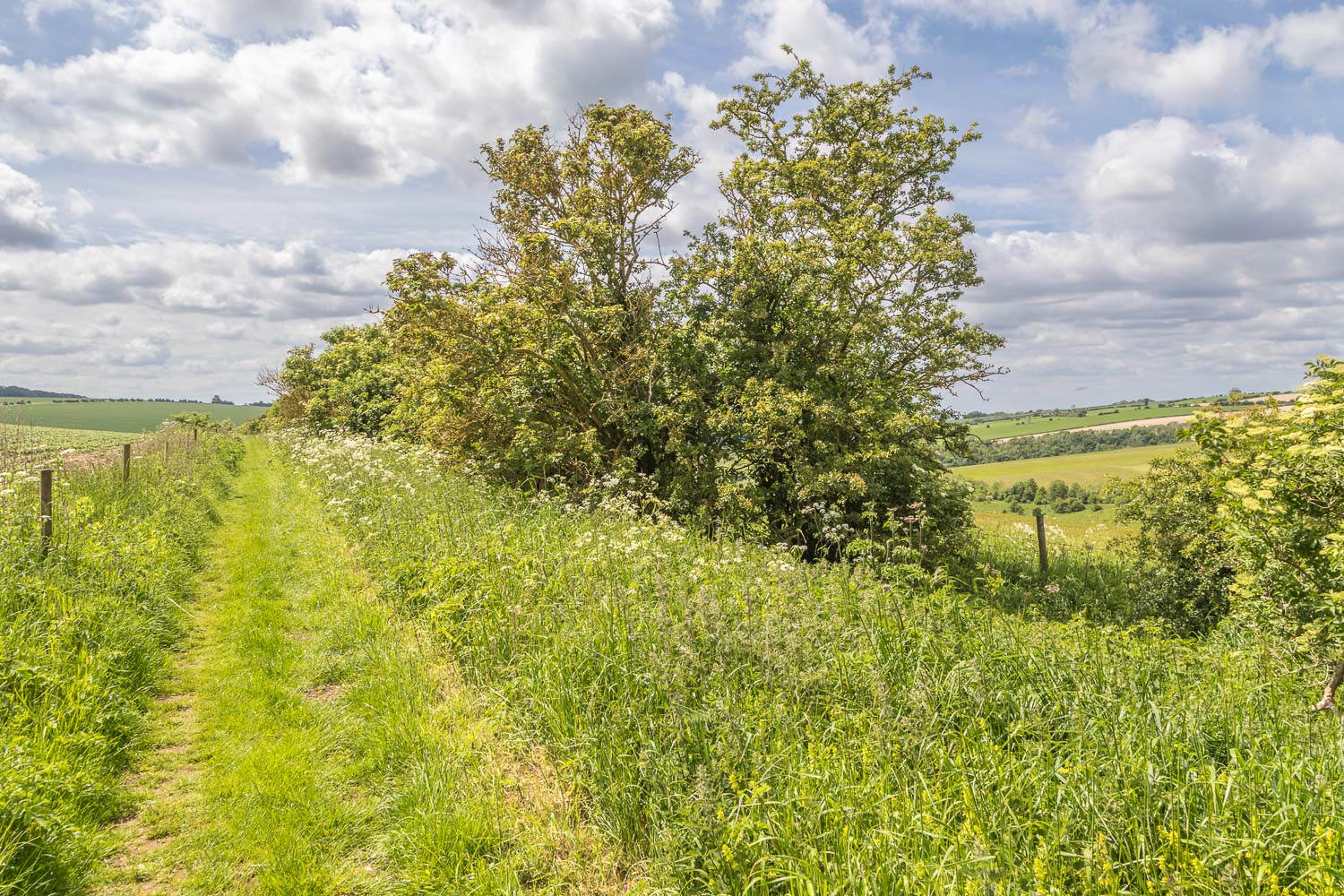 Yorkshire Wolds Way, Chalkland Way, Minster Way