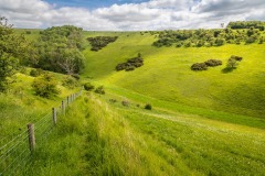 Scoar Dale