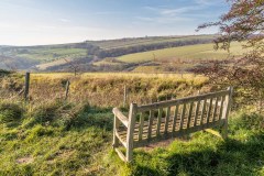 Millington bench