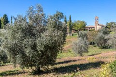 Villa a Tolli, Santa Lucia church