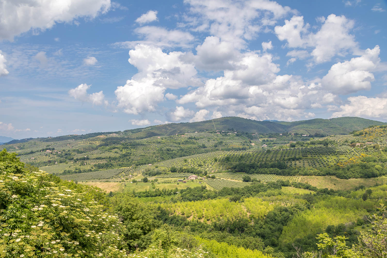 Monteleone Sabino view