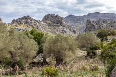 Mortitx Mallorca