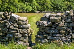 Swaledale walk