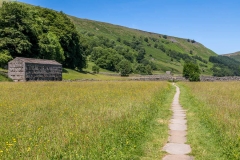 Muker meadow
