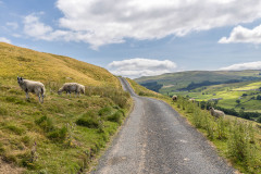 Muker and Swaledale walk