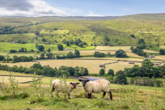 Muker and Swaledale
