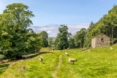 Swaledale walk