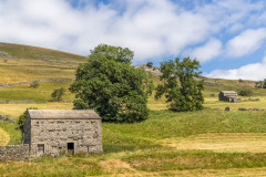 Swaledale walk