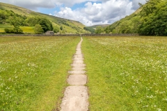 Muker meadows
