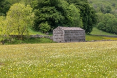 Muker meadows