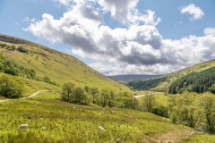 Swaledale walk
