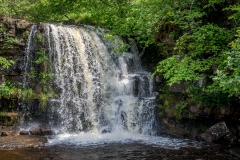 Kisdon Force