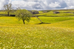Keld meadows
