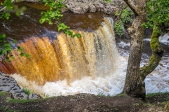 Kisdon Force