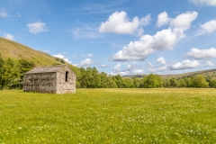 Muker meadows