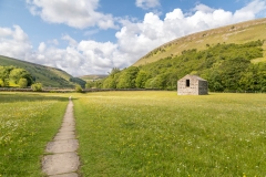 Muker meadows