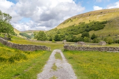 Muker meadows