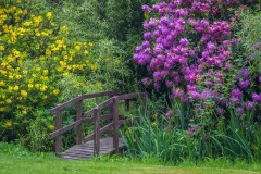 Muncaster Castle gardens