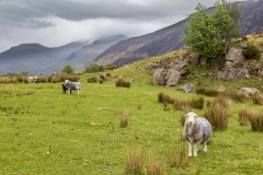 Nether Wasdale