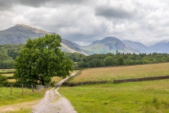 Nether Wasdale walk, Middle Fell, Yewbarrow